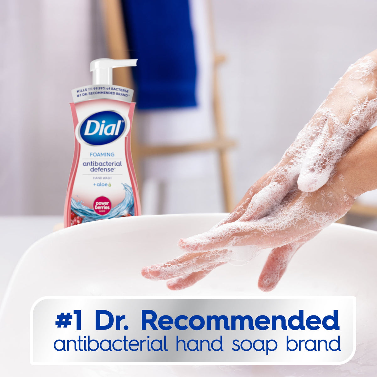 Dial Antibacterial Defense Power Berries Scent Foaming Hand Soap, 7.5 fl oz