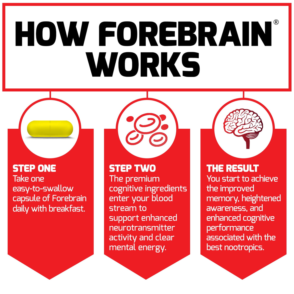 Force Factor Forebrain, Nootropic Brain Supplement with Caffeine, Bacopa & Huperzine A for Memory, Focus, Mental Energy & Brain Health, 30 Capsules