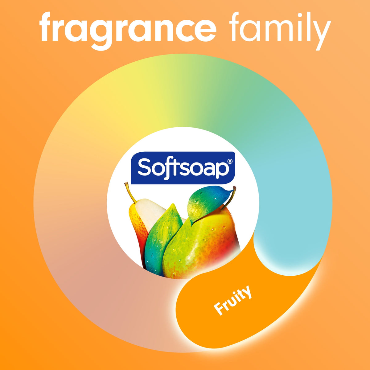 Softsoap Antibacterial Liquid Hand Soap, Sparkling Pear, 11.25 Fluid Ounce Bottle