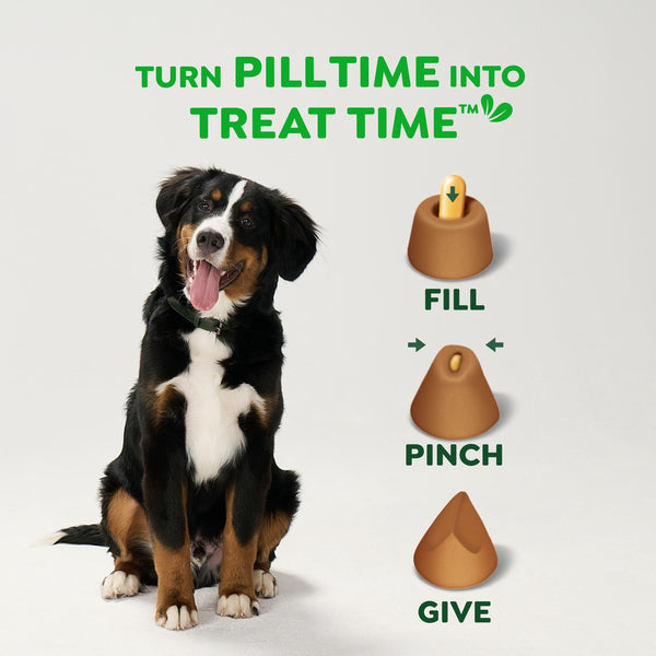 Greenies Pill Pockets for Dogs, Chicken Flavor, Large Size, Soft Dog Treats, 15.8 oz Pouch