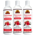 Okay Shampoo and Conditioner Set With Leave-in Conditioner, Coconut and Hibiscus, 1 ea